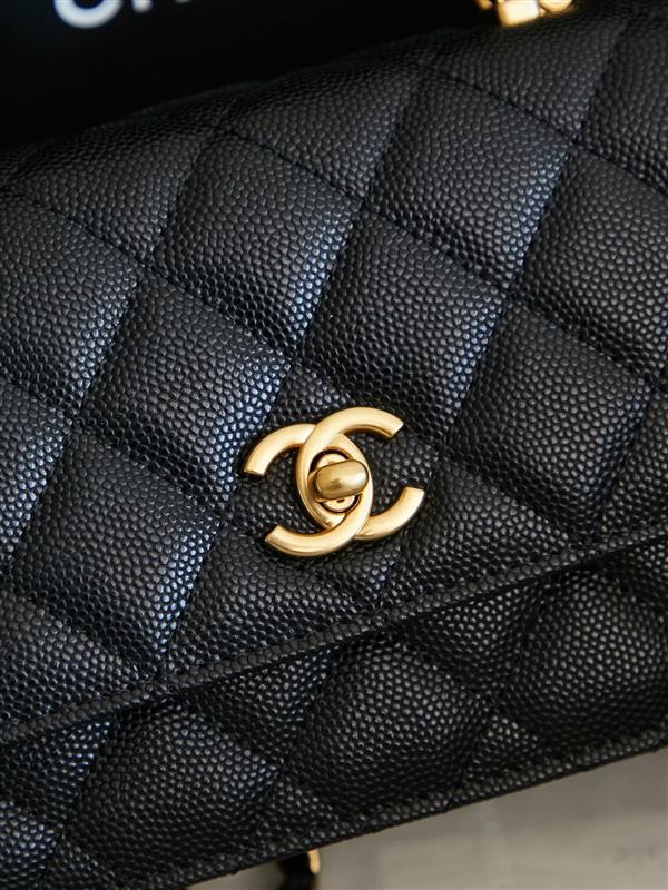 2026131222425545 560